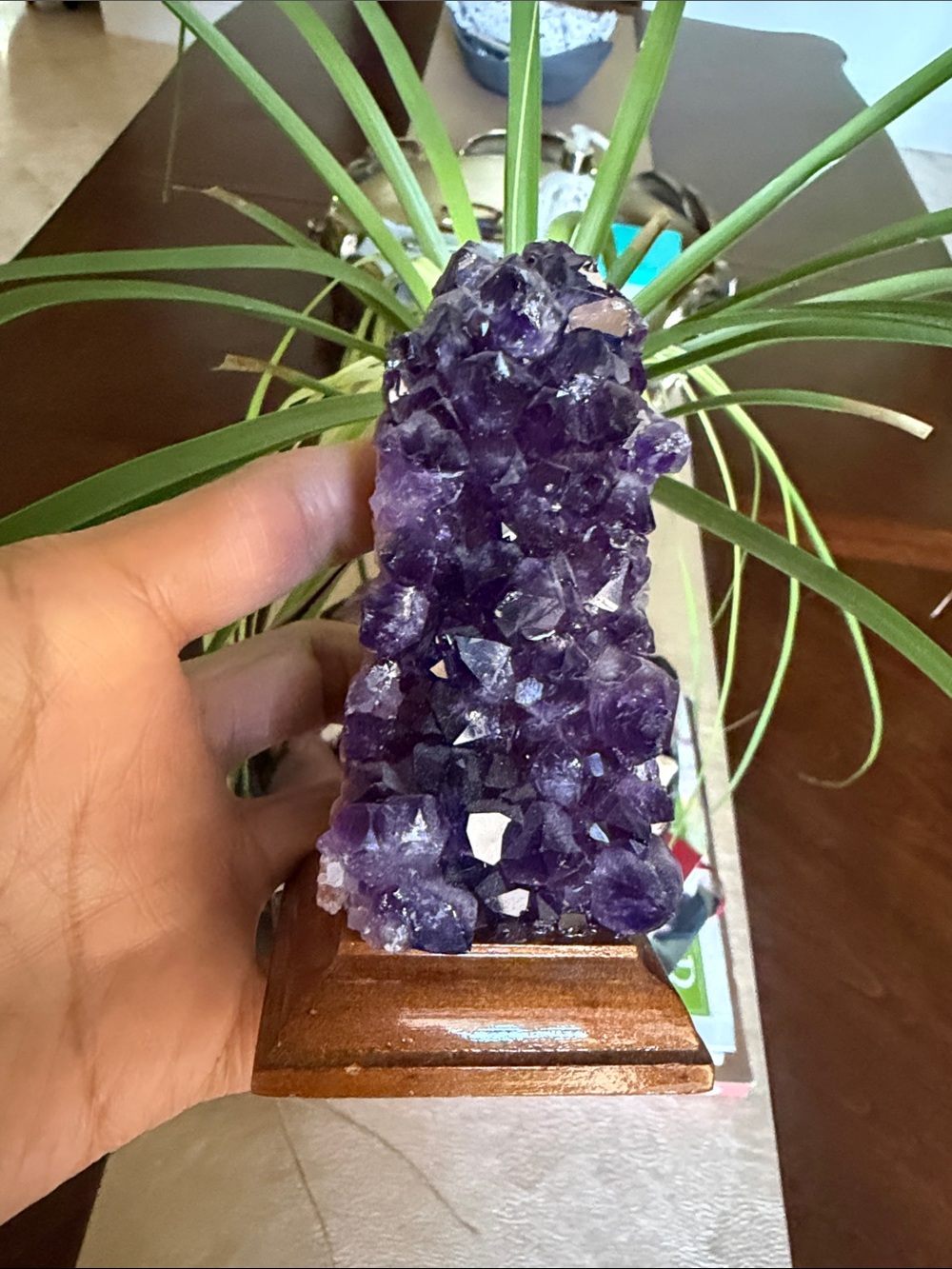Anthropologie Purple Amethyst Crystal Cluster